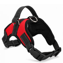 Load image into Gallery viewer, Nylon Heavy Duty Dog Pet Harness Collar